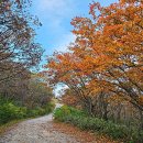 노고단-16 이미지