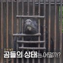 곰농장 네이버블로그