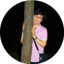 봉서산길 이미지