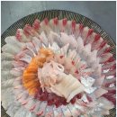 남해-293 | "창원에서 가성비 폭발하는 횟집, 남해회센터 탐방기!"