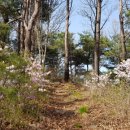 청솔(둘레길펜션) 이미지