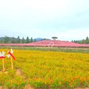 신소양체육공원화장실(주차장) 이미지