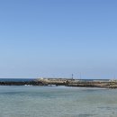 무릉외갓집 이미지