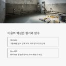 도기팩트