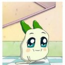 보배종로약국 이미지