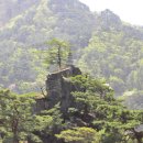 박달재자연휴양림 이미지