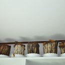 창신농장 이미지