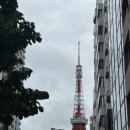 강남 세븐호스텔 | 하루 만에 계획하고 떠나는 일본 도쿄 여행 짠 내 투어 경비와 코스 엿보기