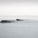 납부필증유형 이미지