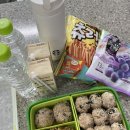 UR(경주시)-[동해안로]-하-13 | 경상북도 임신부 어촌마을 태교여행 지원사업 후기(경주 프룩스플럭스 호텔, 해마지, 경주 양남 주상절리)