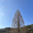 송곡소류지 네이버블로그