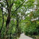 서울대공원 캠핑장 이미지