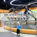 영종대로 | 인천 아이랑 무료 실내 영종도 가볼만한곳 인천학생과학관 솔직후기