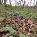 베토벤노래연습장 이미지