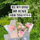 리플라워
