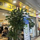 바로케이크