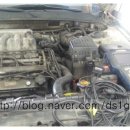 코뿔소카센타 이미지