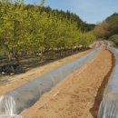 큰골농장 이미지