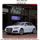 카티스트스튜디오