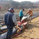 농지조성 이미지