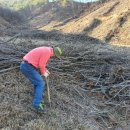 엄나무골농장 이미지