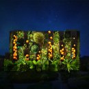 제주허브동산 이미지