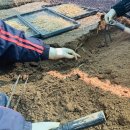 종삼농장 이미지