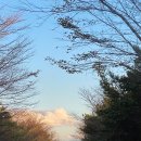 금앤옥통나무팬션 이미지