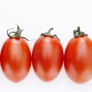 우주펜션 이미지