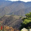 부전계곡(하) 이미지