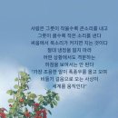 냉정 이미지