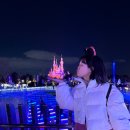 중국식품슈퍼 | [공지] [상하이여행🇨🇳] 1일차/중국동방항공/상하이디즈니랜드/주토피아/일루미네이션