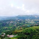 에이스필 이미지