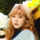 DAZED 카카오 검색결과