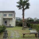 제주피움 이미지