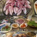 레지던스 예그린하우스 이미지