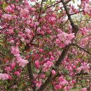 삼죽면사무소 이미지