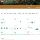 aurora(오로라) 이미지