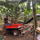 몽키바나나 | [내돈내산] 제주 스위트몽키 29개월 아기 바나나따기 체험 후기