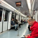 D00120 | 로마 바티칸 투어 내돈내산 소수정예로 진행하는 정도영 가이드 추천하는 이유 솔직 후기