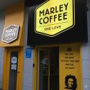 영등동-37 이미지