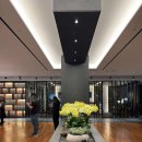 라온제나 | 여의도 웨딩여율리 라온제나홀 하객 후기