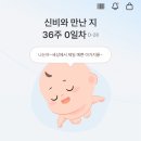 동남산전(주) | 임신 기록 29주-35주 막달을 향해 달려🏃🏻‍♀️ 출산휴가, 만삭 촬영, 조기진통, 배뭉침