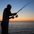 섬 우럭축제 이미지