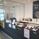 일산고양이분양&미용 반하나캣 이미지