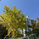 NR-24[요천로]-상-1 | 24.11.9.(토) 가을 남원여행 광한루원 서남만찬 명문제과 완벽한 당일치기 여행