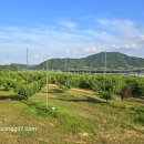 하송농장 이미지