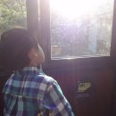 제주희동이네 이미지