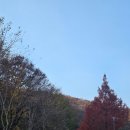 인라인스케이트장 앞 이미지