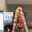 메디칼이송단 이미지